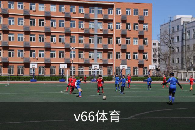 v66体育